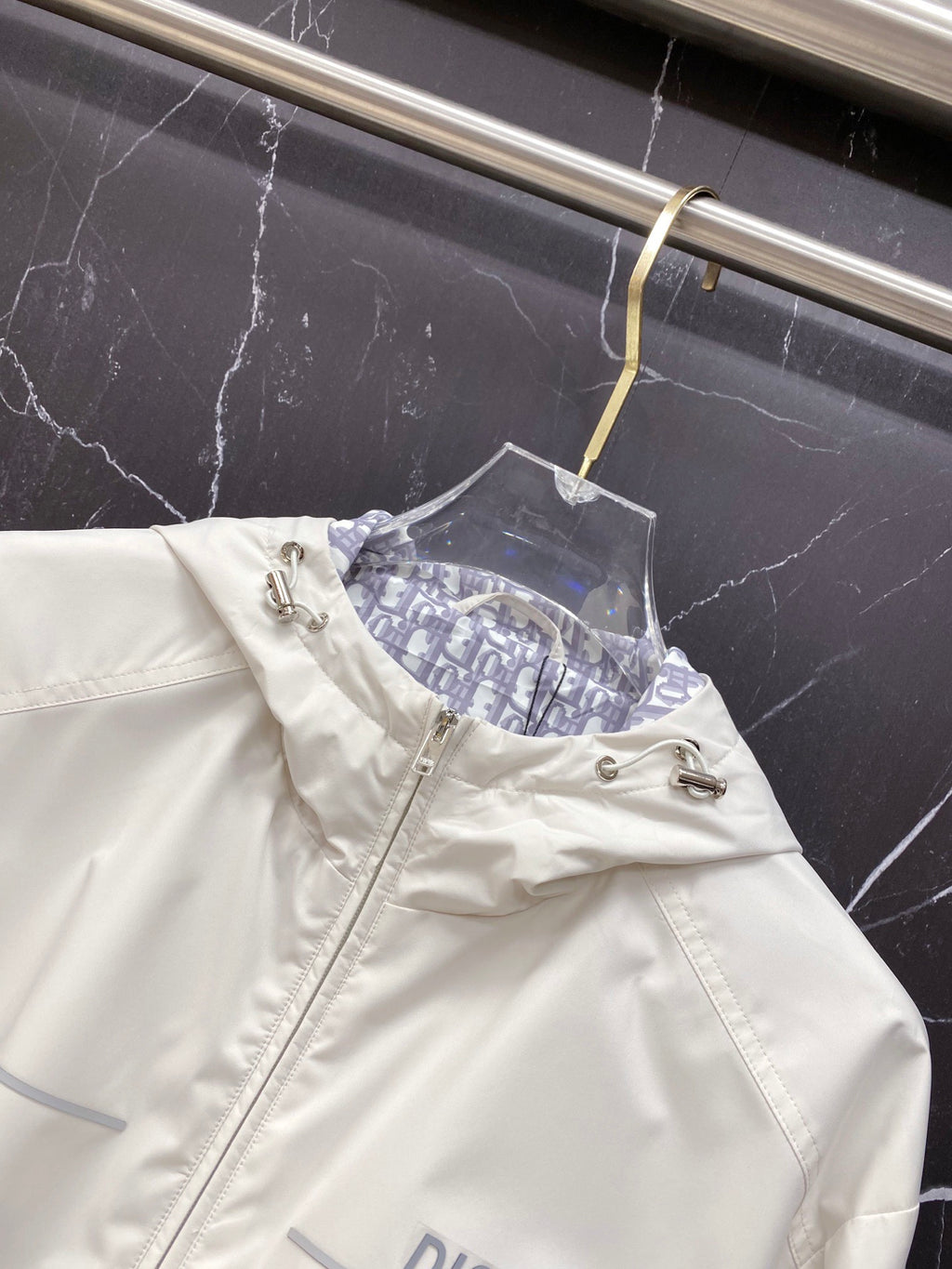 Dior Dior 2026ss Spring New Hooded Jacket