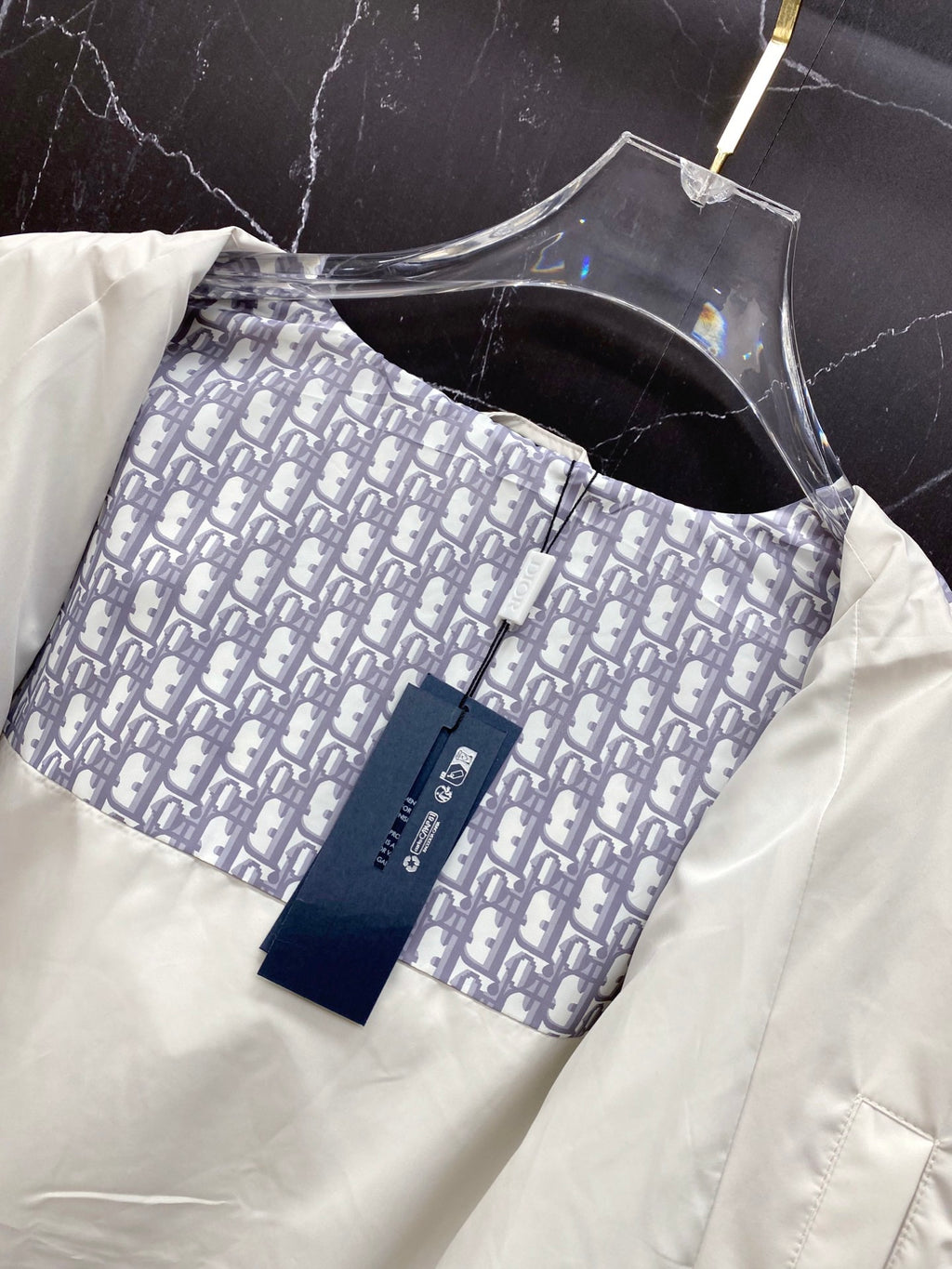 Dior Dior 2026ss Spring New Hooded Jacket